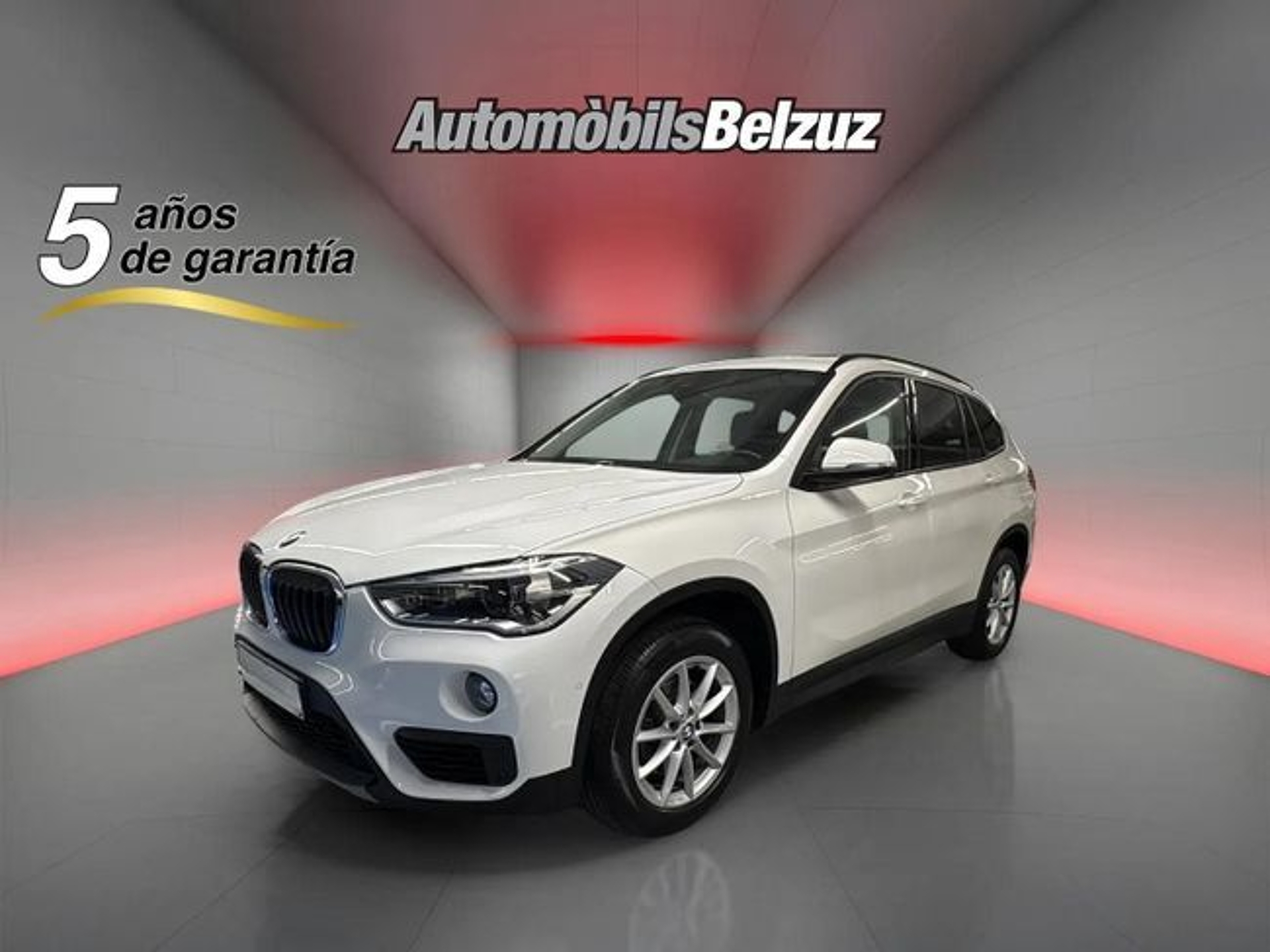 Imagen de BMW X1