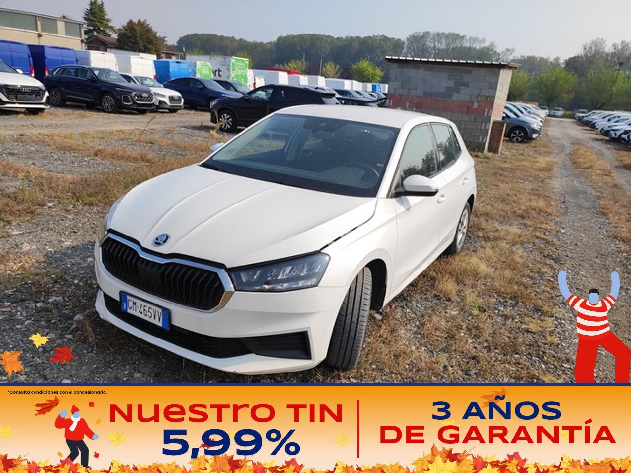 SKODA Fabia (1.0 MPI 59KW (80CV) Ambition) en Madrid