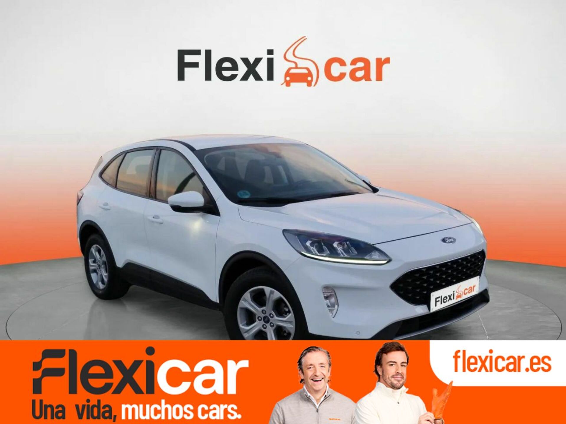 Imagen de FORD Kuga