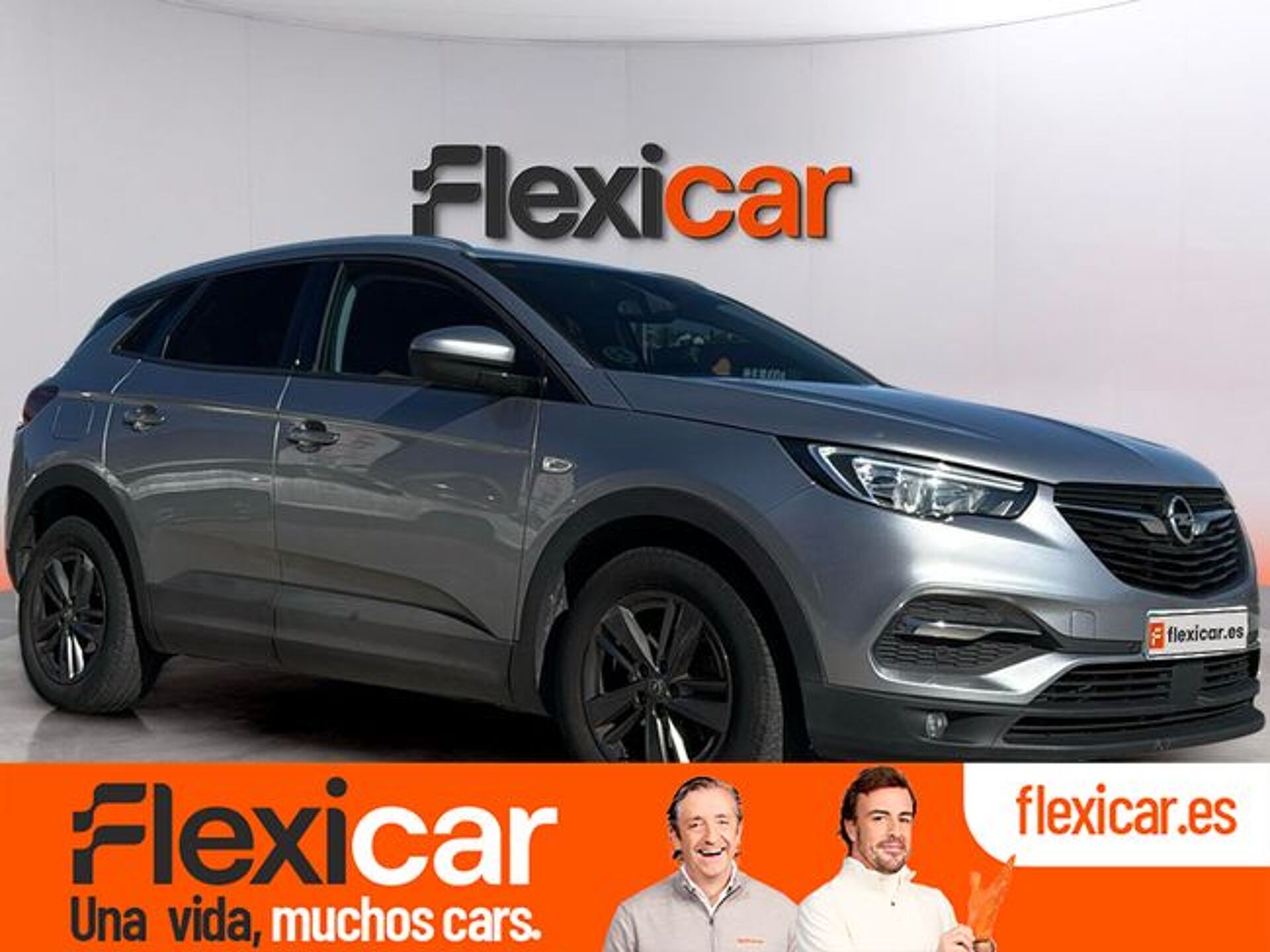 Imagen 1 de OPEL Grandland X