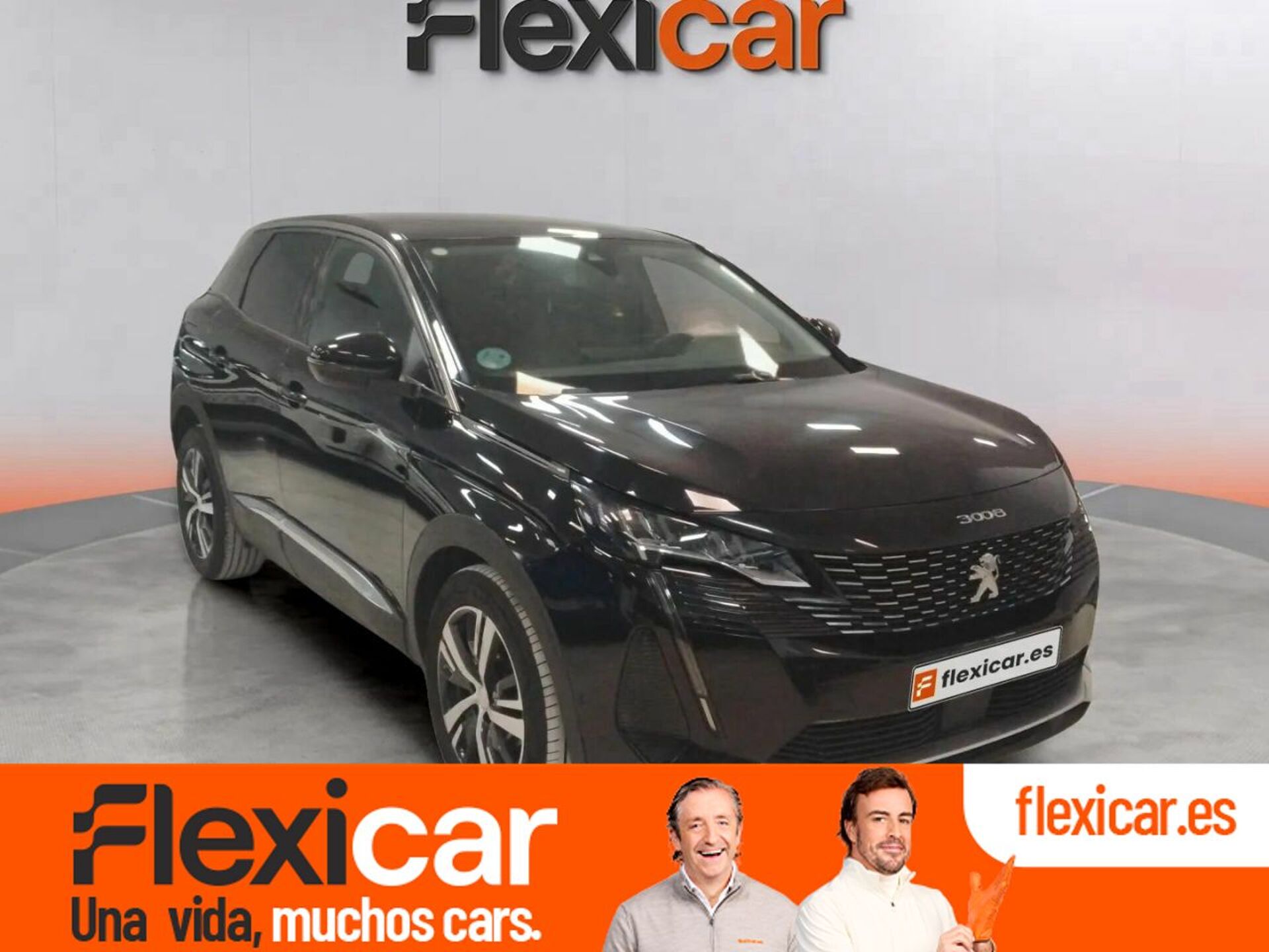 Imagen de PEUGEOT 3008
