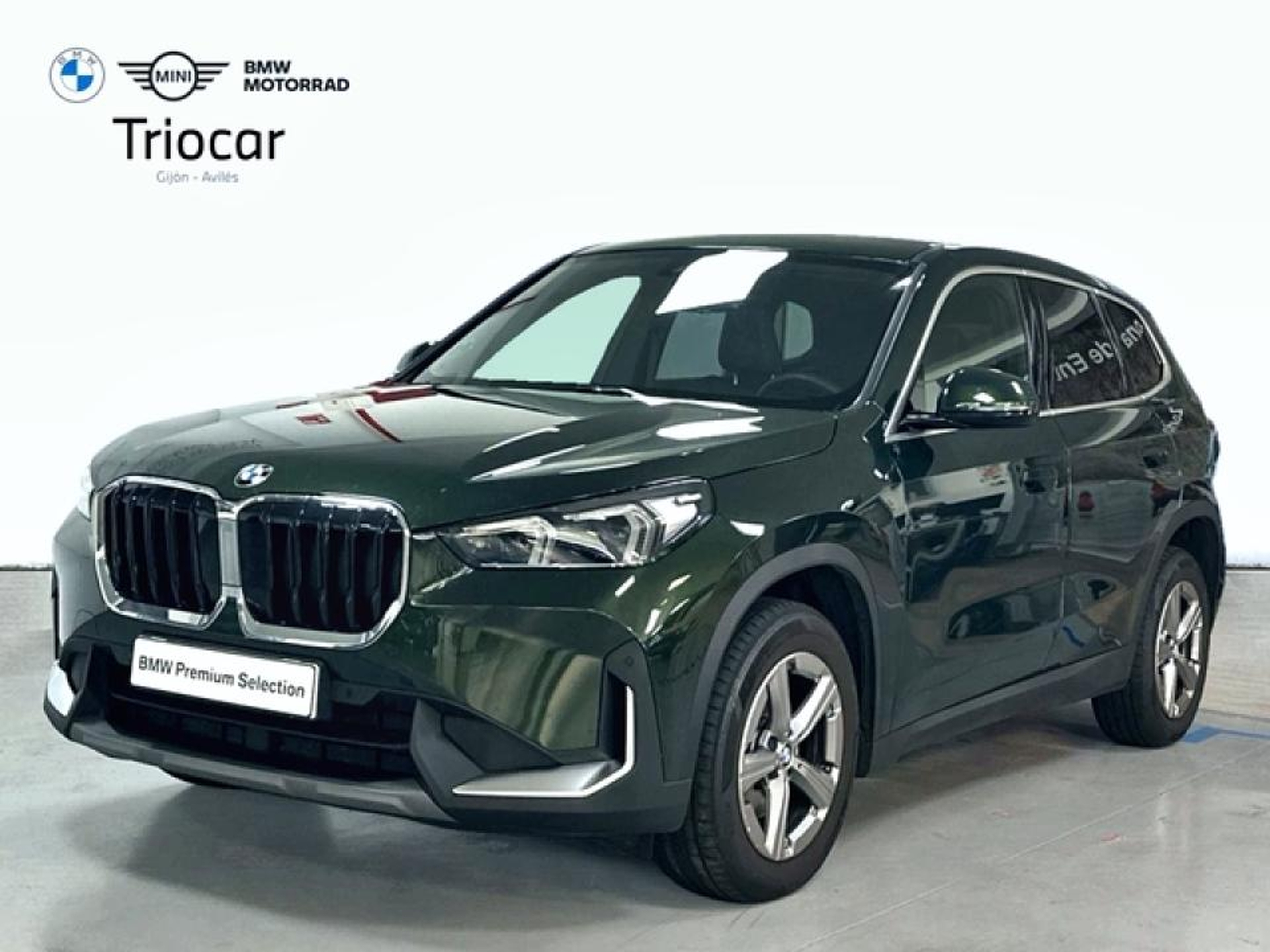 Imagen de BMW X1