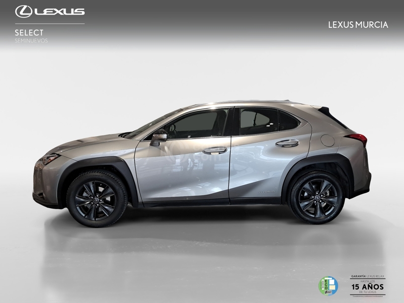 Foto del LEXUS UX 250h Business 2WD
