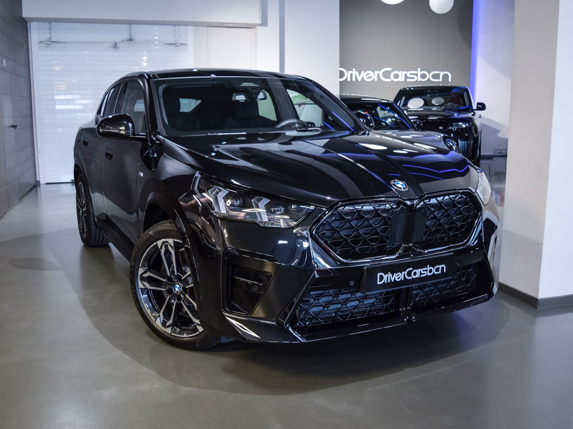 Imagen de BMW X2