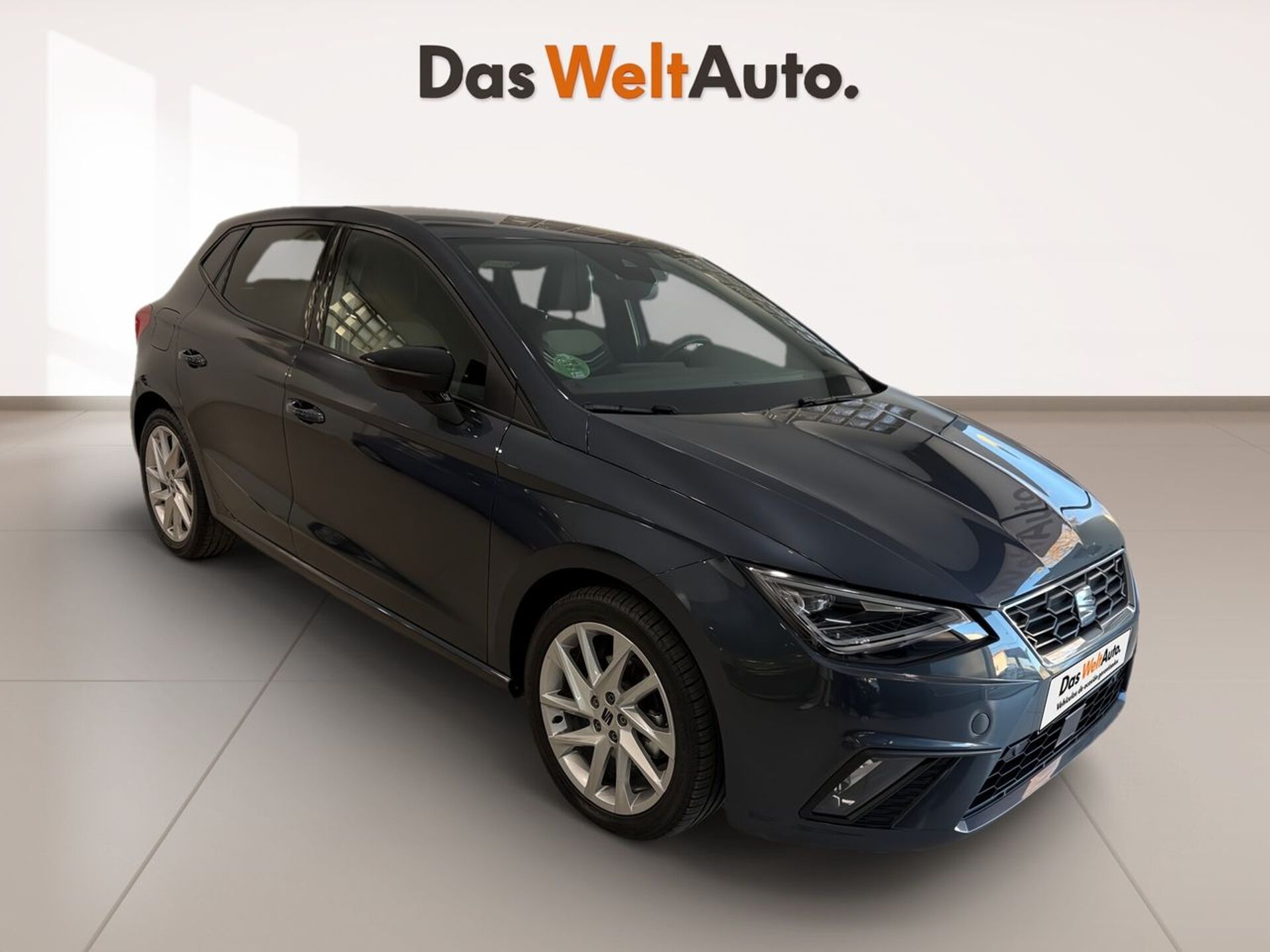 Imagen de SEAT Ibiza