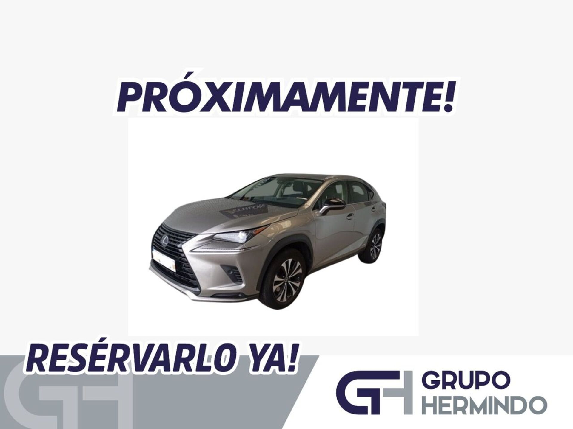 Imagen de LEXUS NX