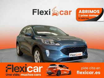 Imagen de FORD Kuga 1.5 EcoBlue Trend FWD 120
