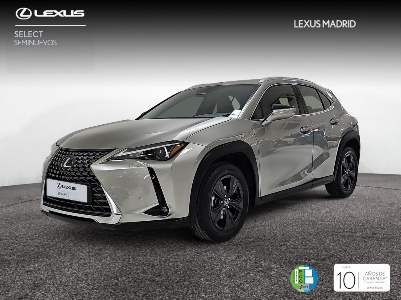 LEXUS UX (2.0 300h UX Plus) en Madrid