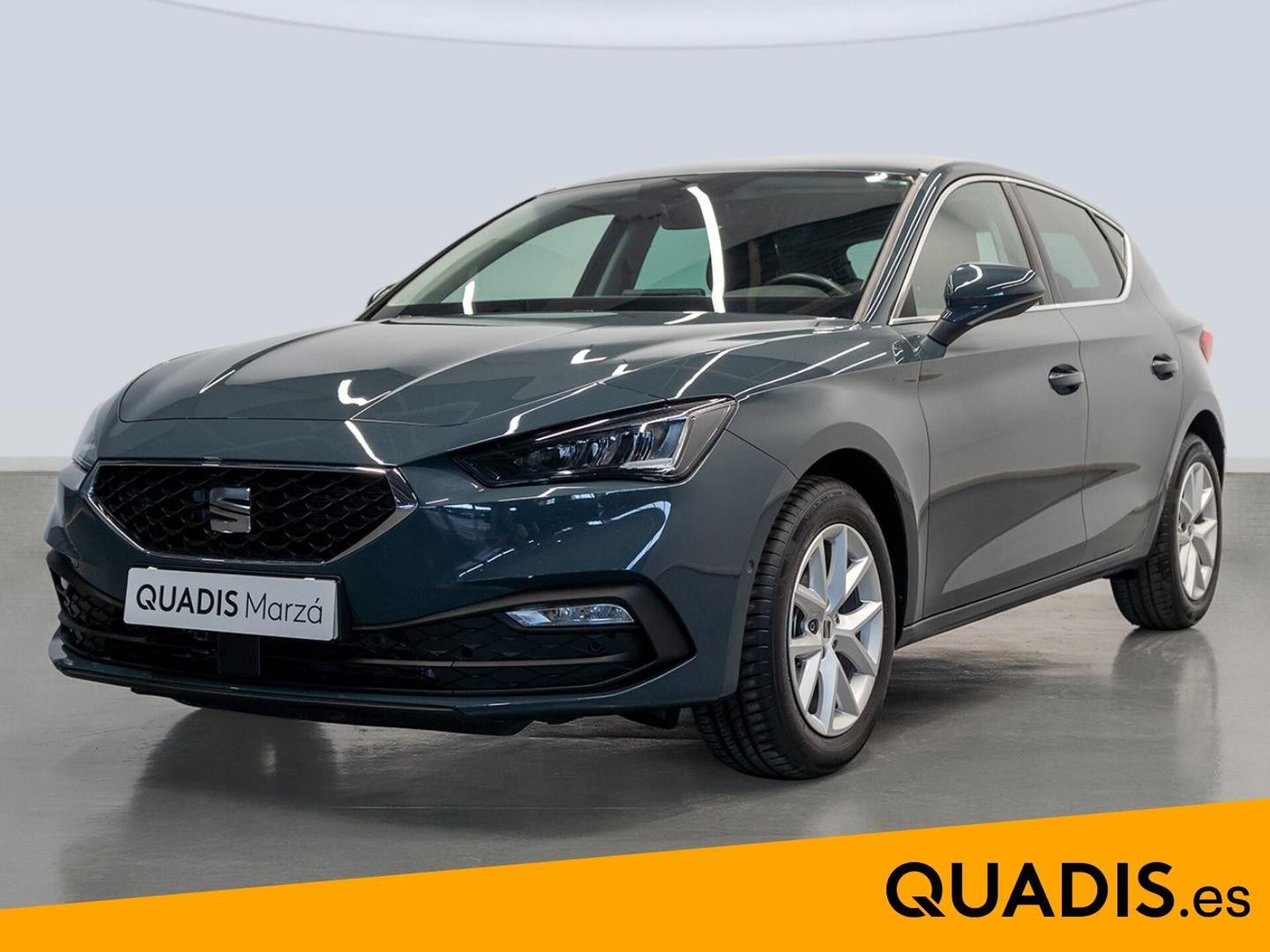 Imagen 1 de SEAT León