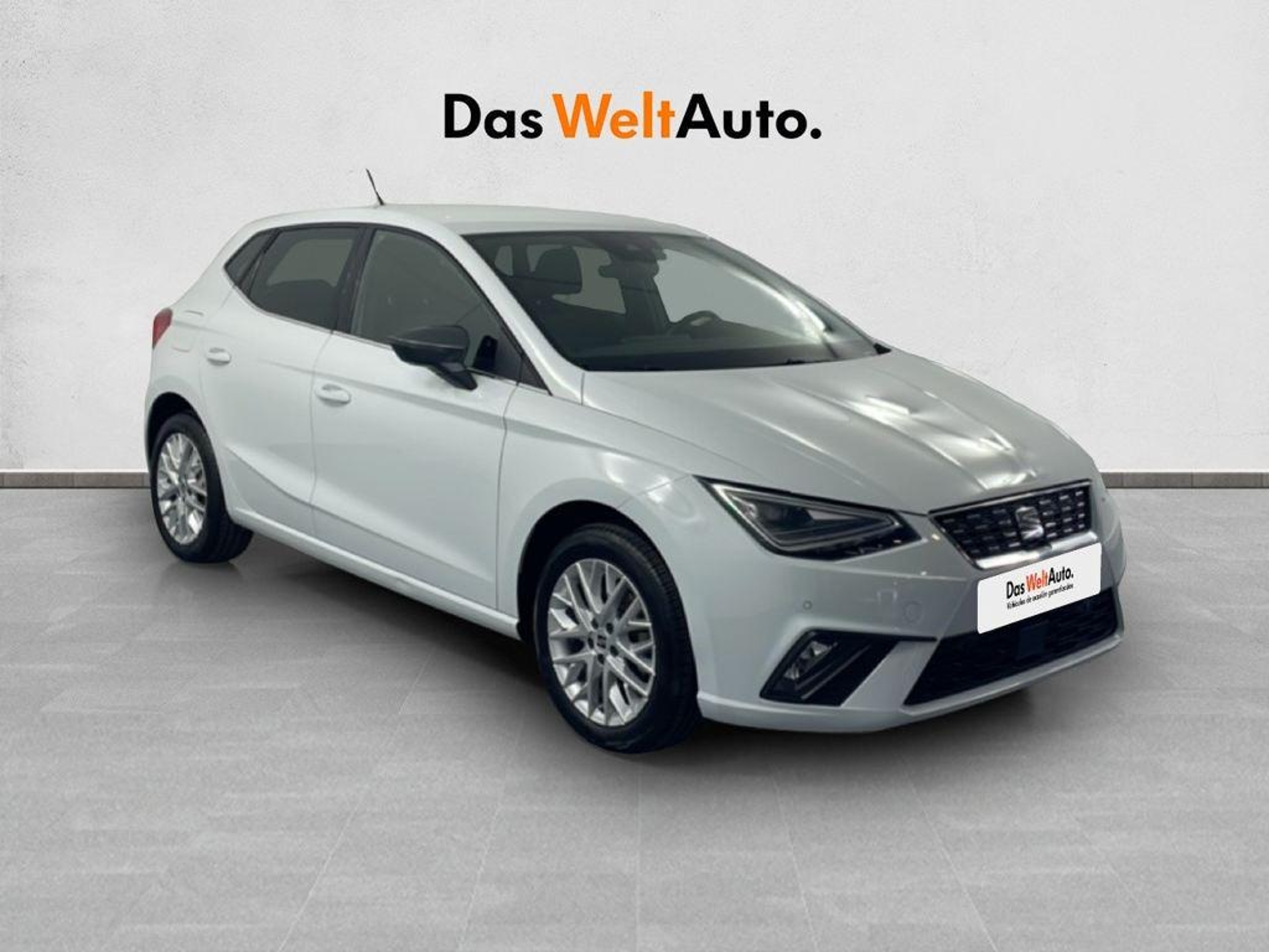 Imagen de SEAT Ibiza
