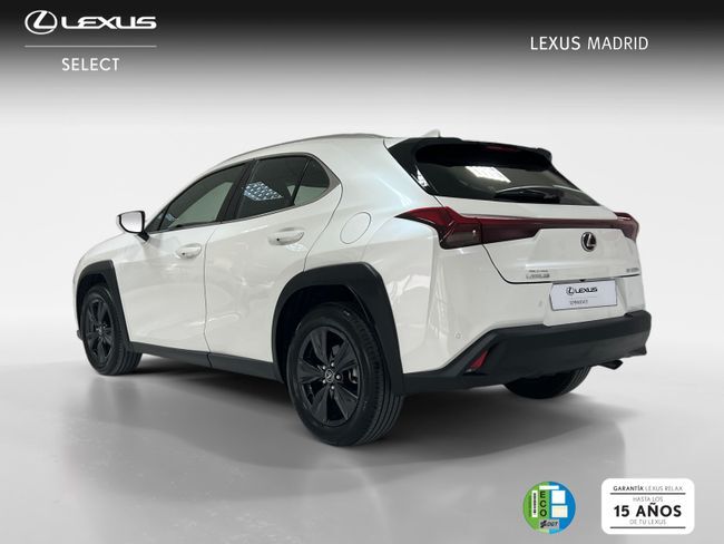 Foto del LEXUS UX 300h UX+
