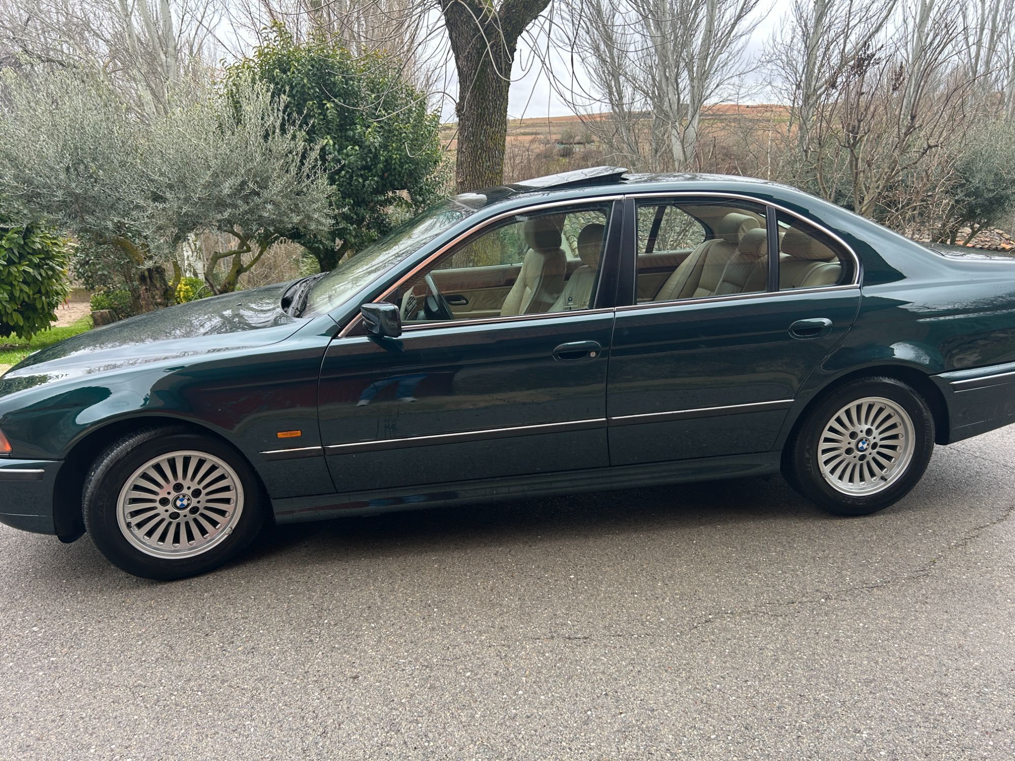 Foto del BMW Serie 5 523i