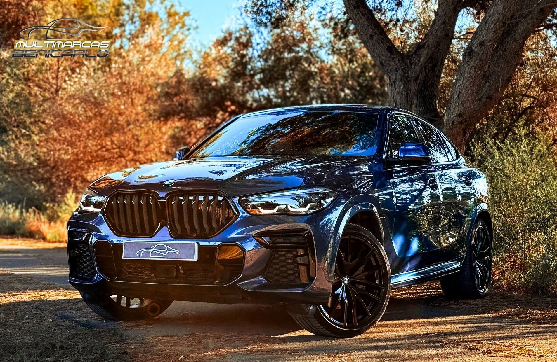 BMW X6 (xDrive 40iA) en Castellón