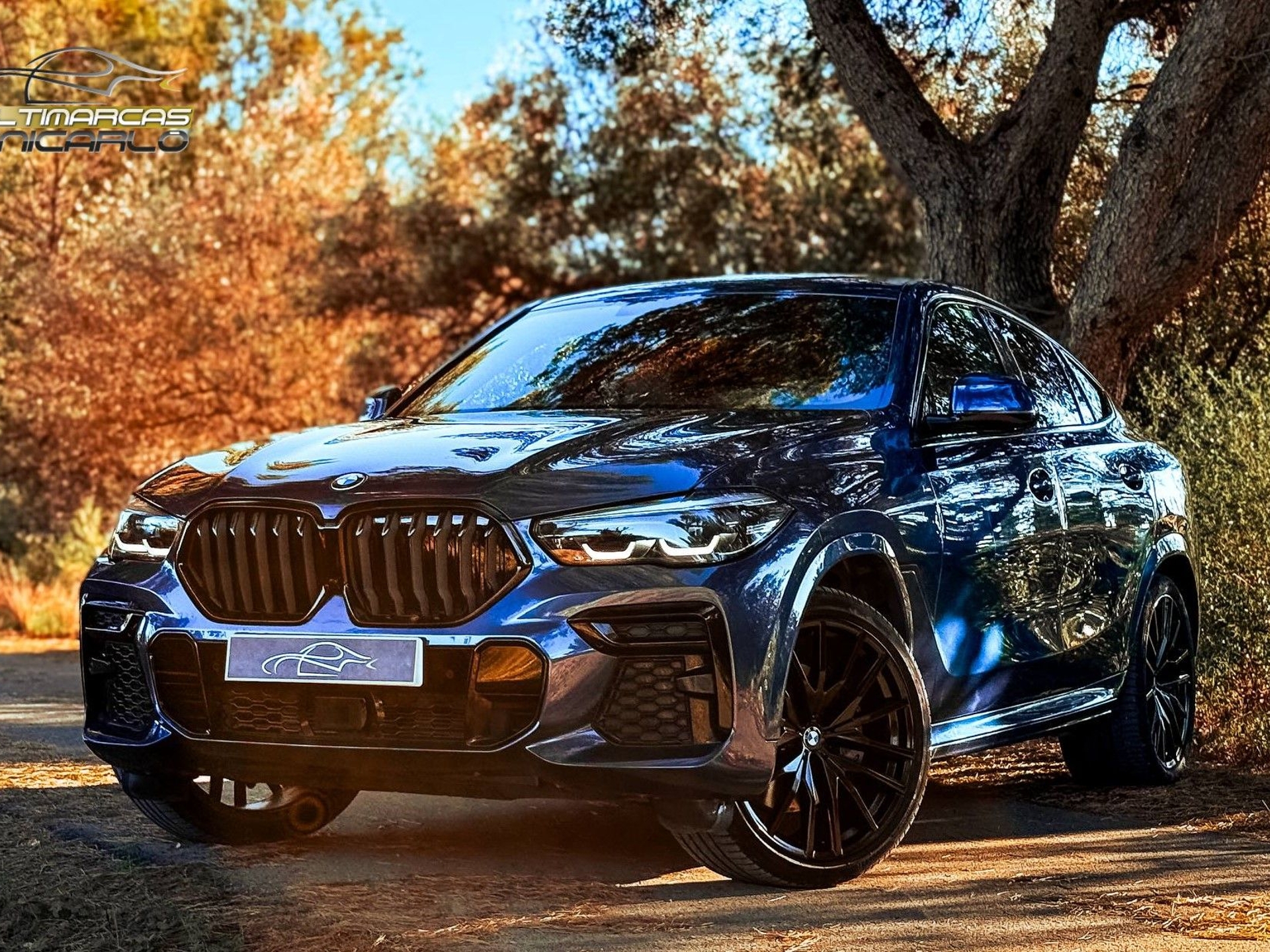 Imagen de BMW X6
