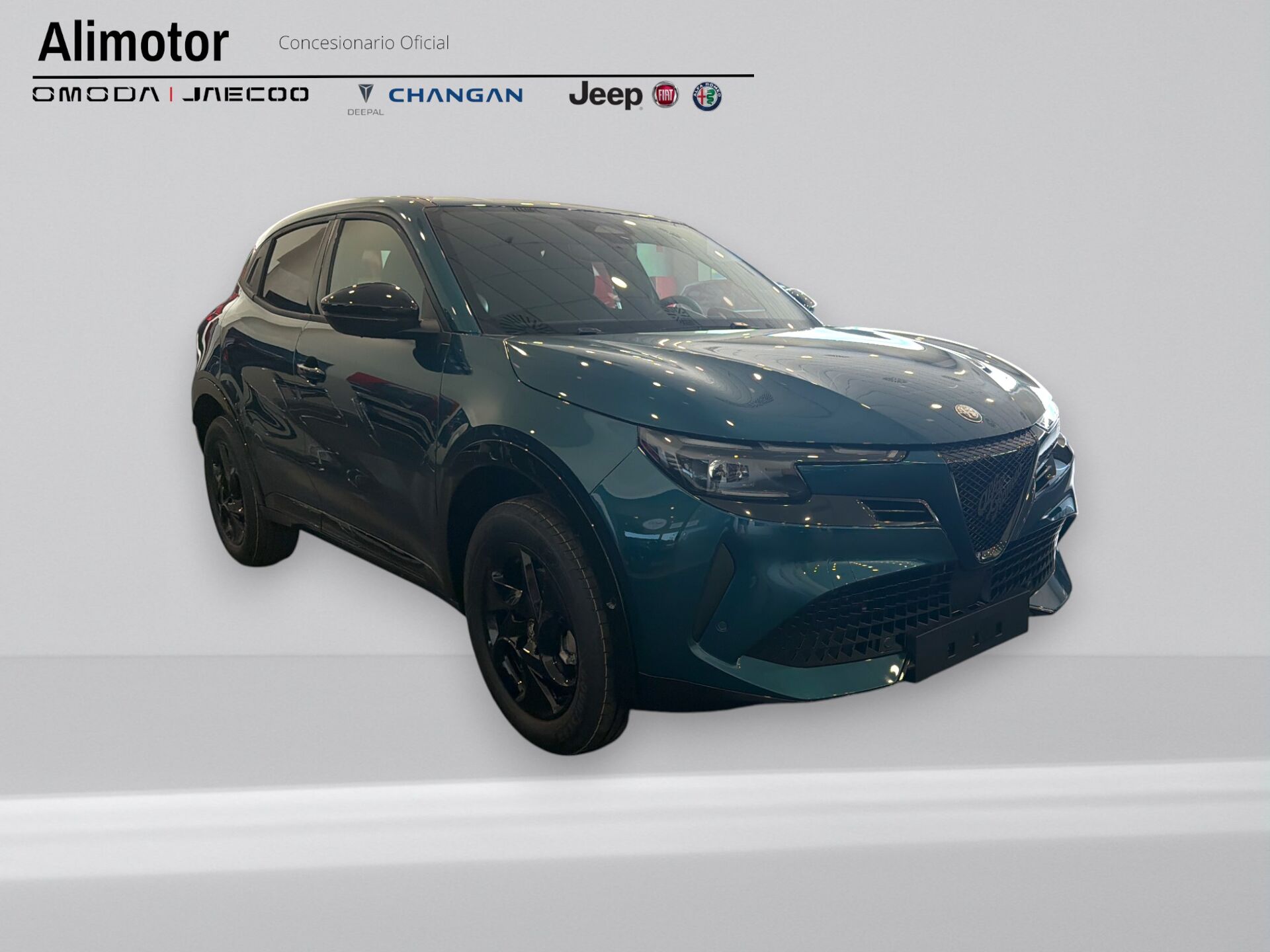 Imagen 3 de ALFA ROMEO Junior