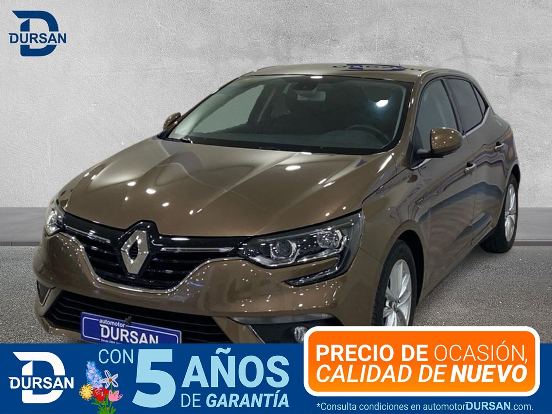 Imagen de RENAULT Mégane