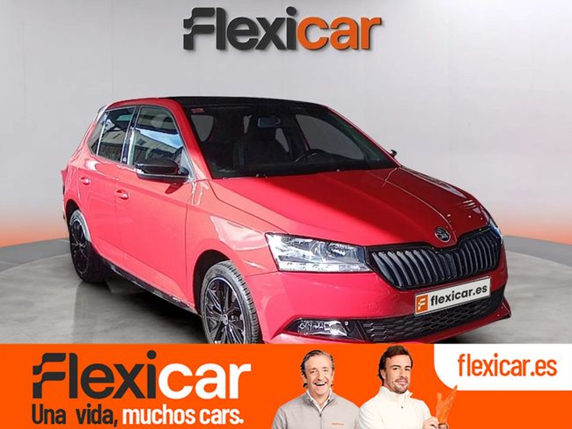 Imagen de SKODA Fabia