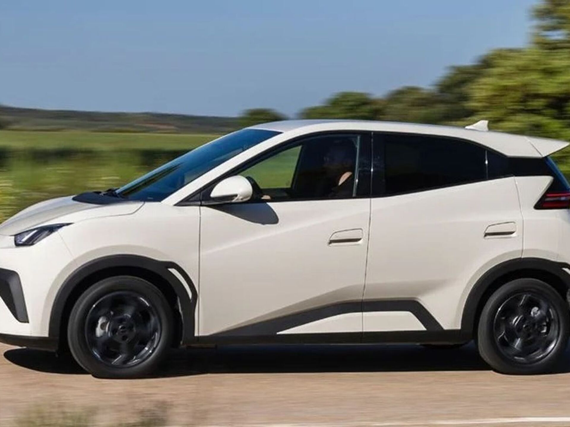 Imagen 3 de BYD Dolphin Surf