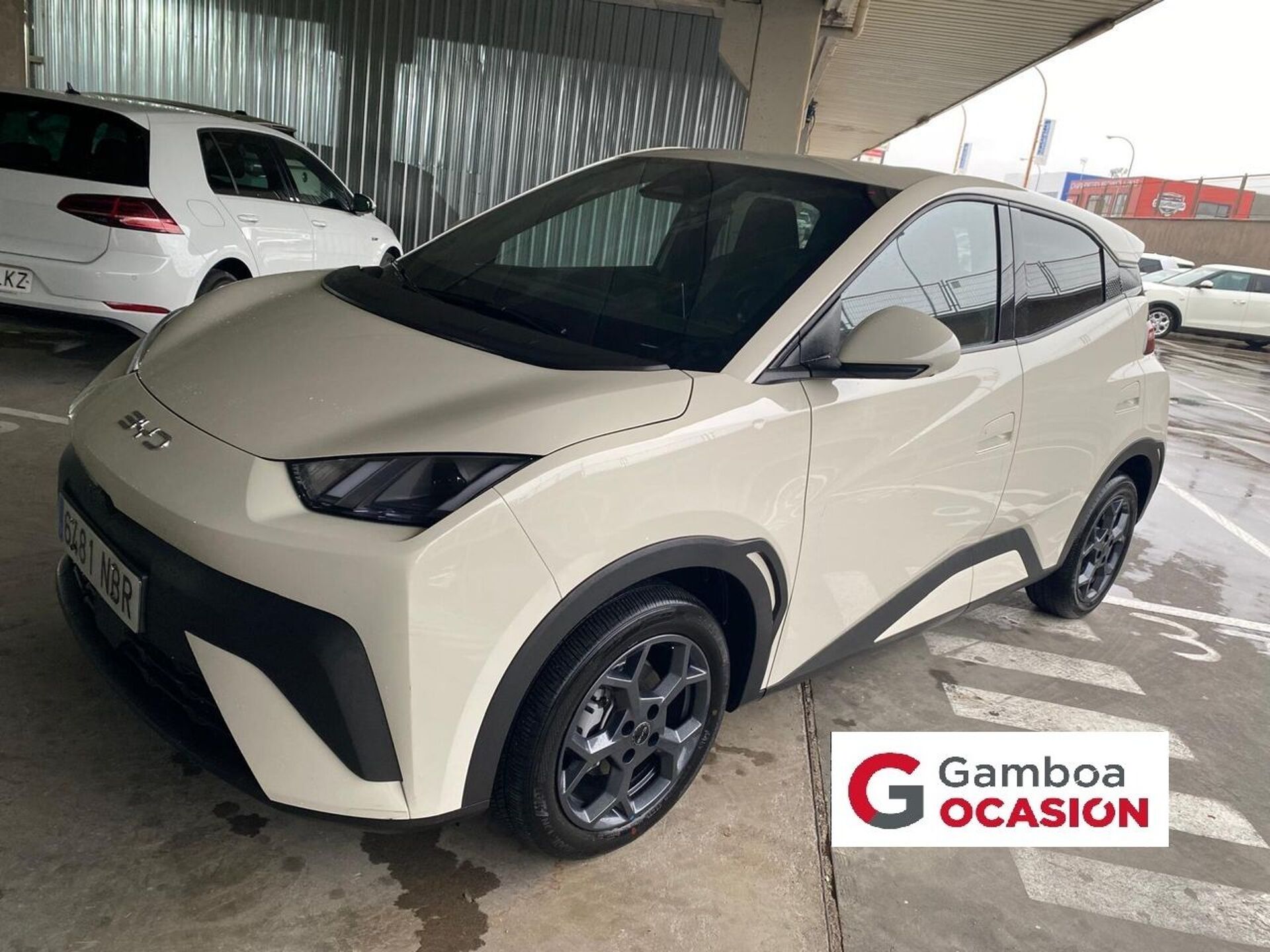 Imagen 1 de BYD Dolphin Surf