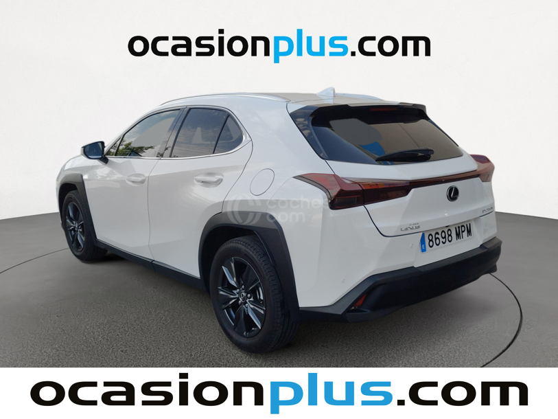 Foto del LEXUS UX 250h Business 4WD