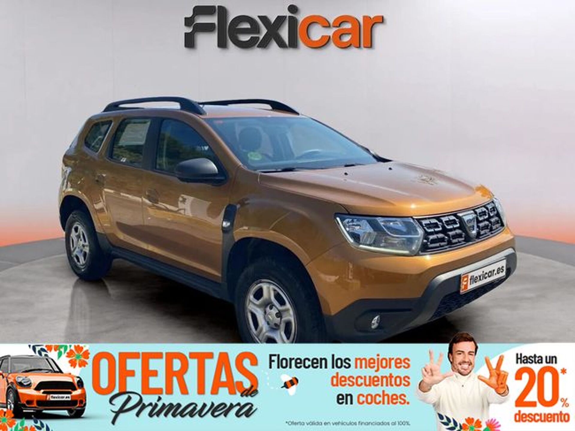 Imagen 1 de DACIA Duster