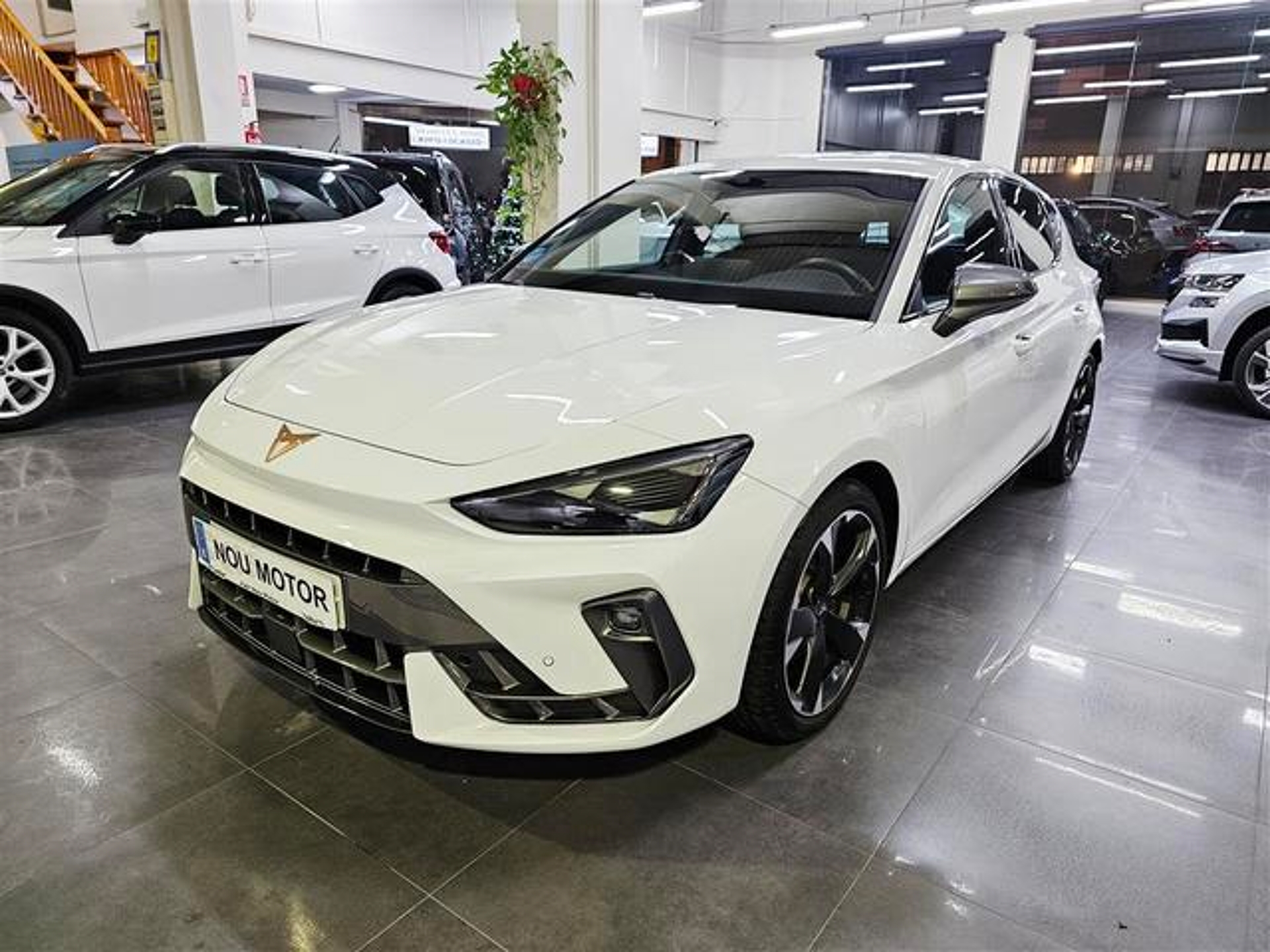 Imagen de CUPRA León