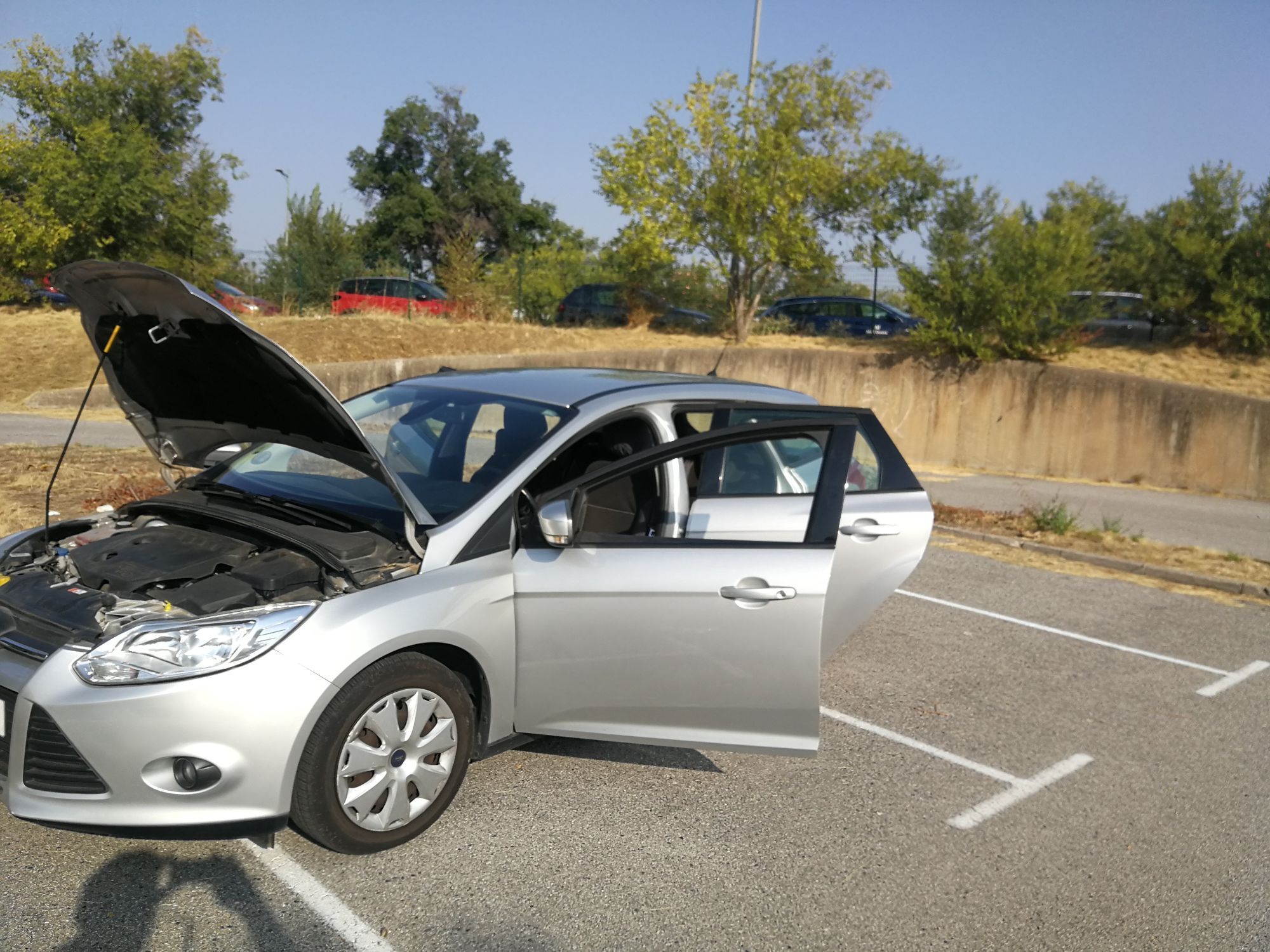 Foto del FORD Focus 1.6TDCi Trend 115