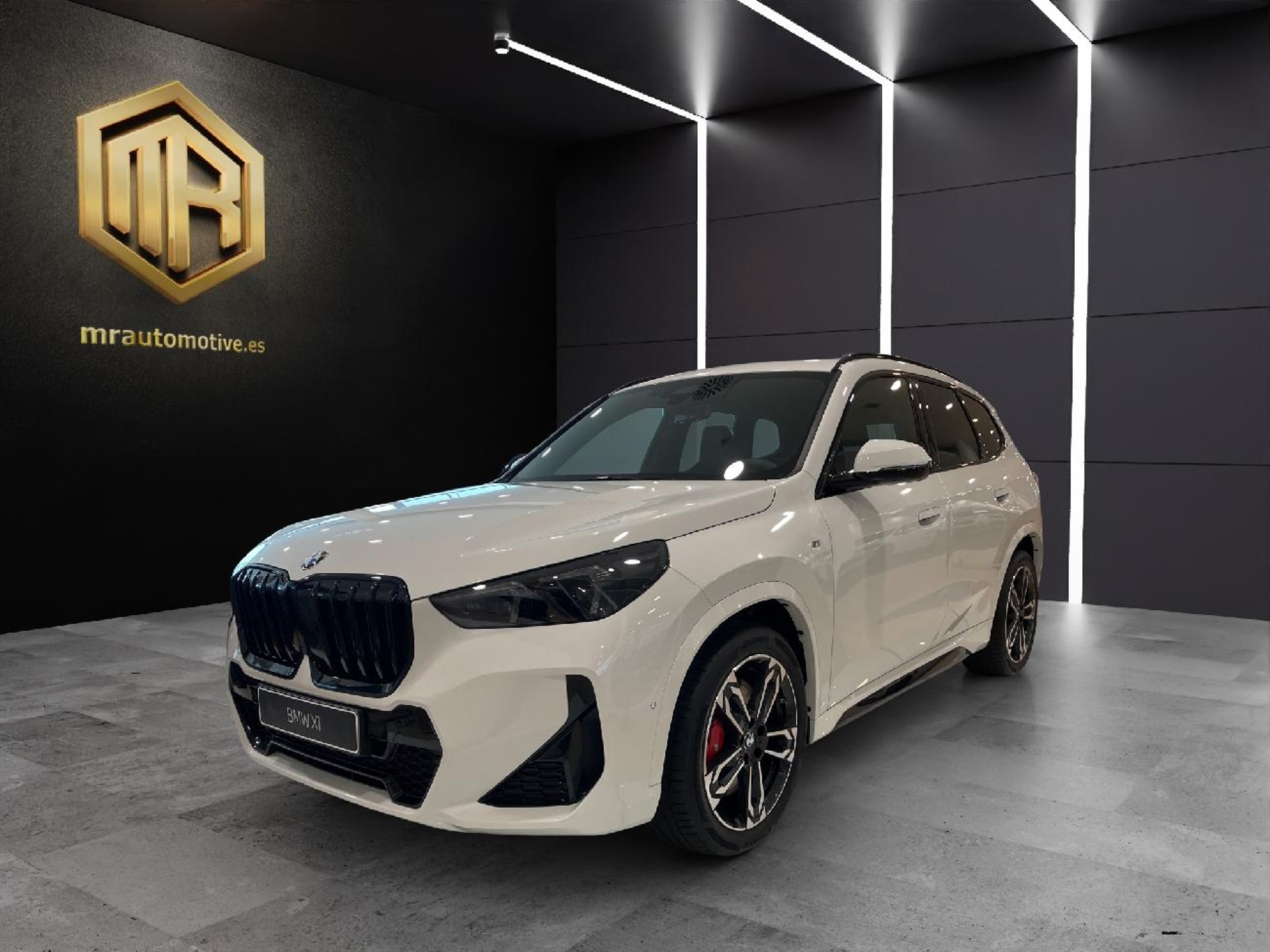 Imagen de BMW X1