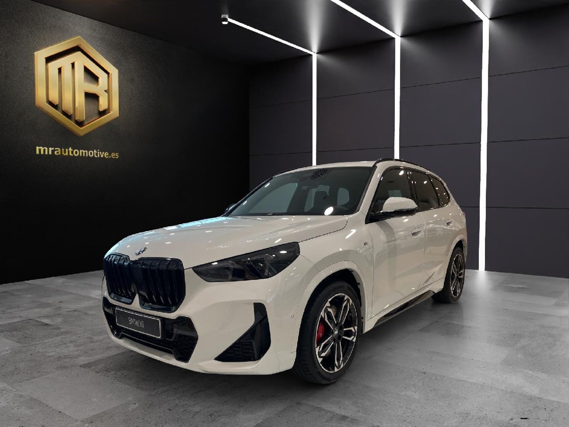 Imagen de BMW X1