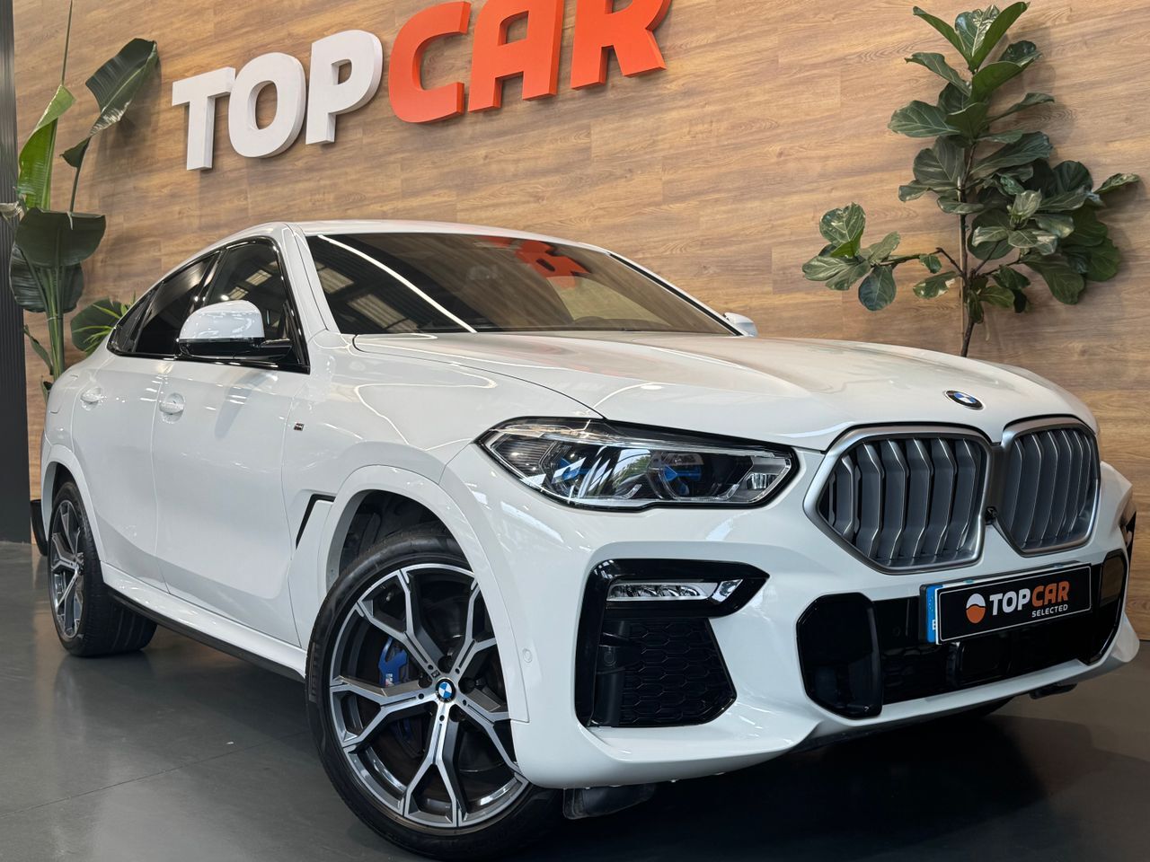 BMW X6 (3.0D Xdrive   M Sport) en Vizcaya