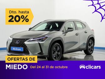 Imagen de LEXUS UX 250h Business 2WD