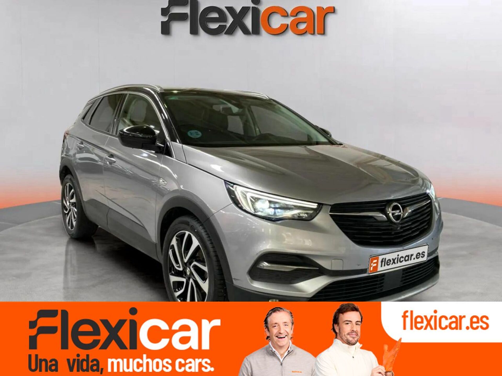 Imagen de OPEL Grandland X