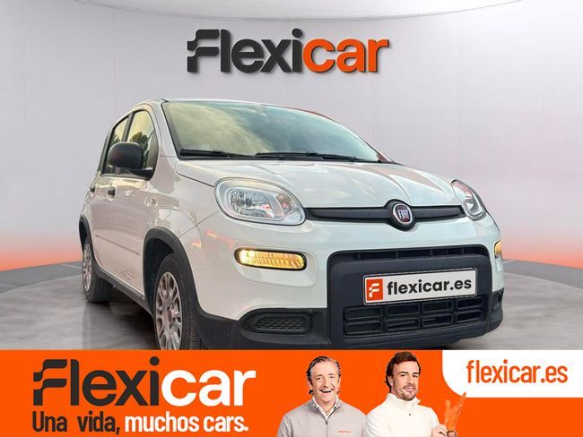 FIAT Panda (Panda 1.0 Hybrid 51kW (70cv)) en Granada