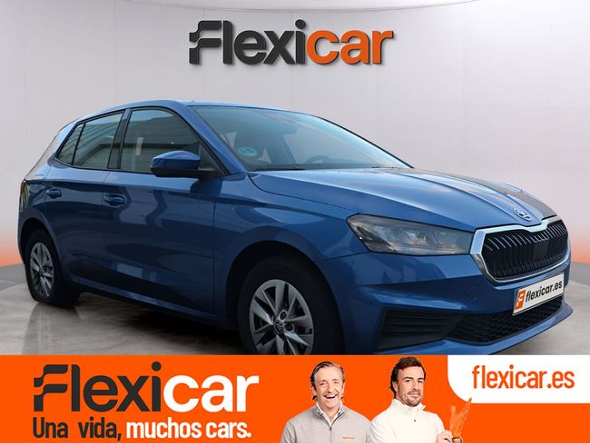 Imagen 1 de SKODA Fabia