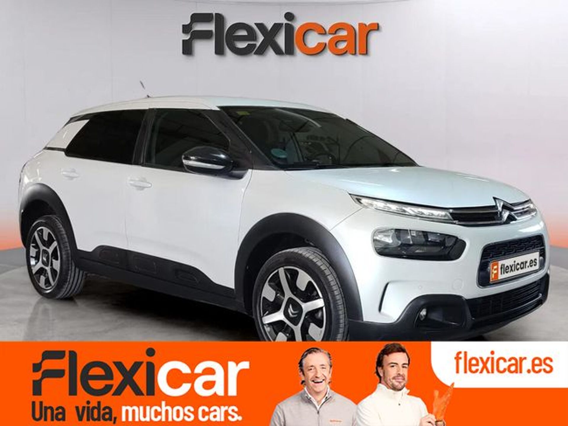 Imagen de CITROEN C4 Cactus