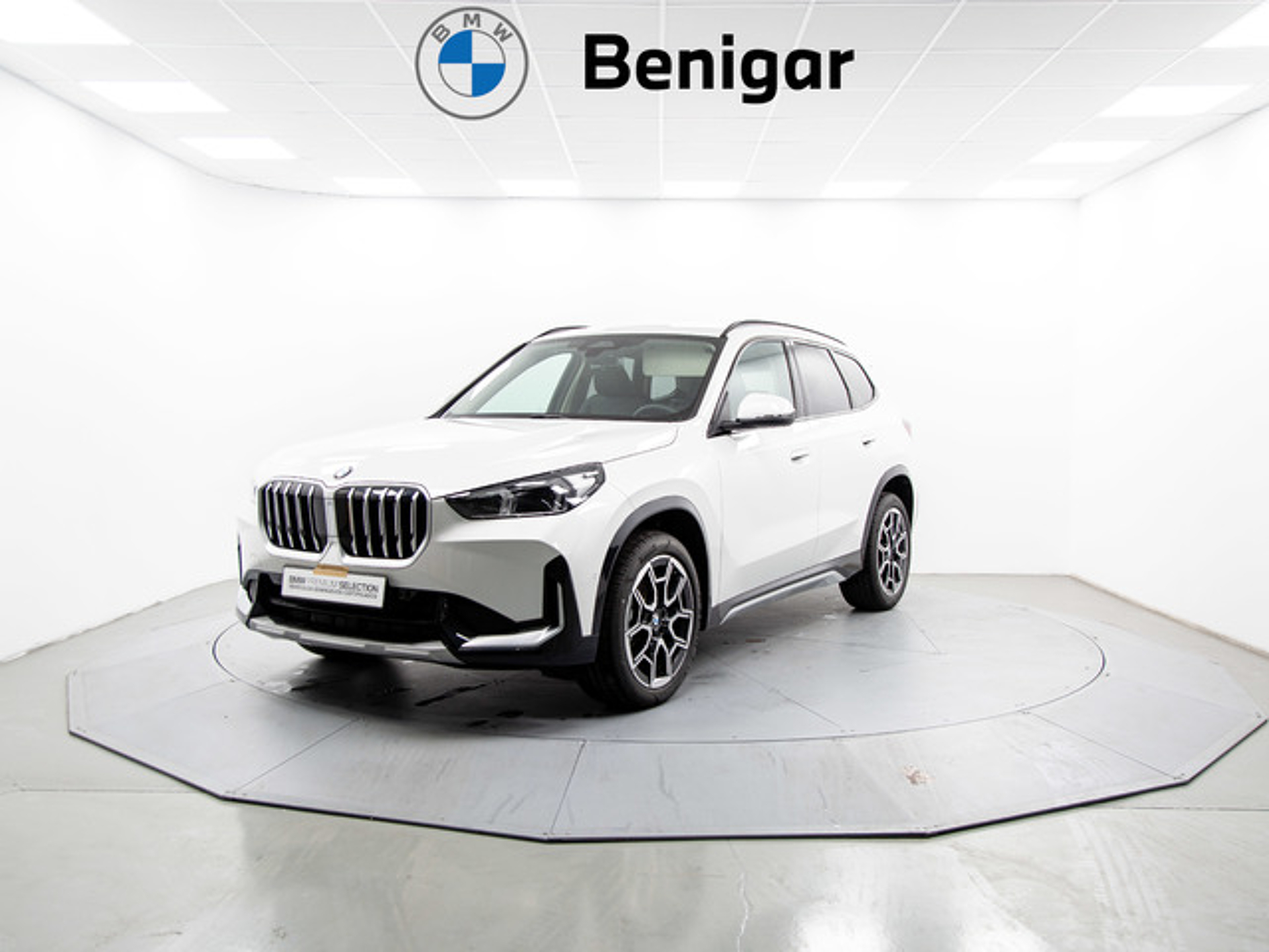 Imagen de BMW X1