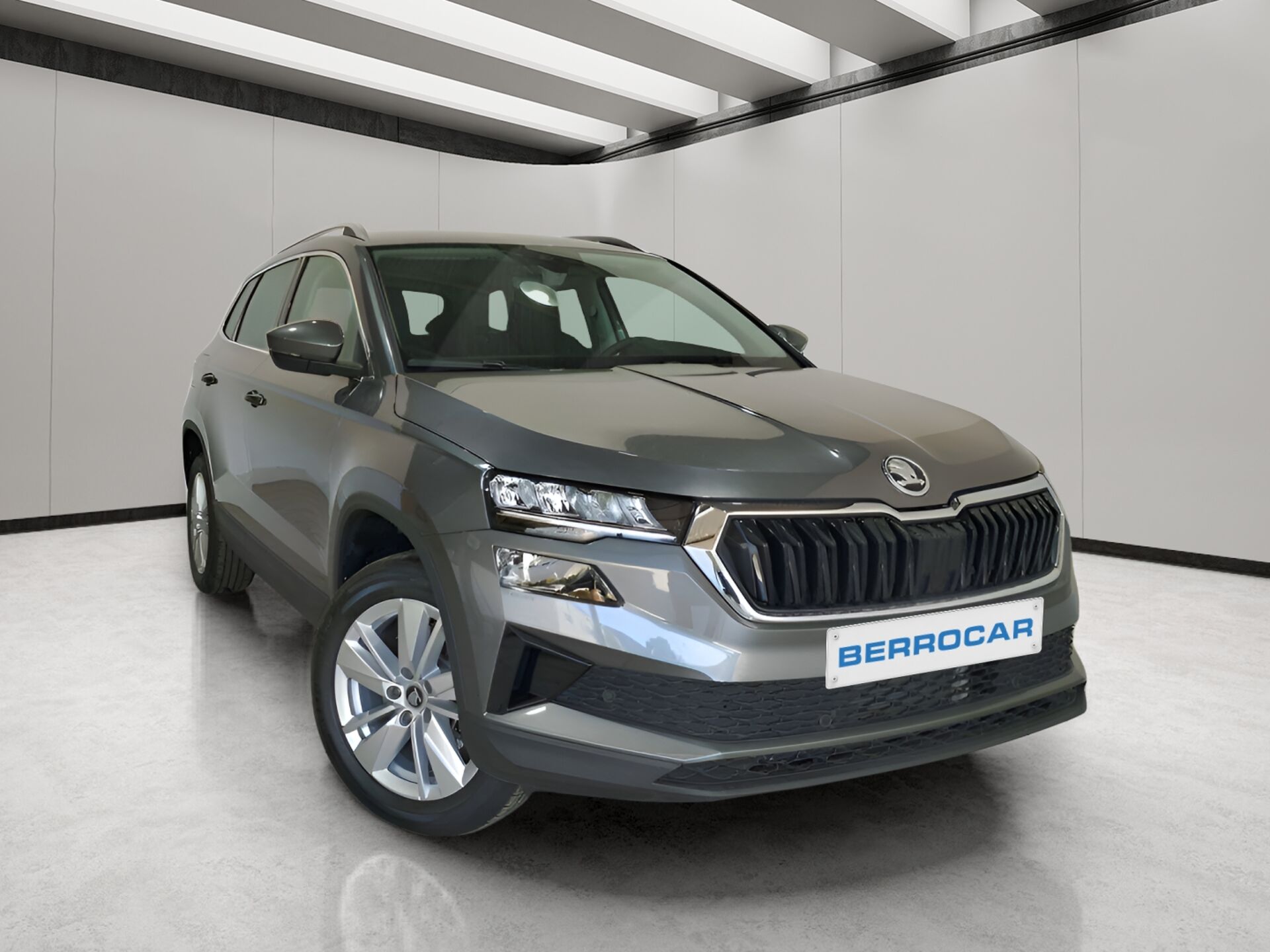 Imagen de SKODA Karoq