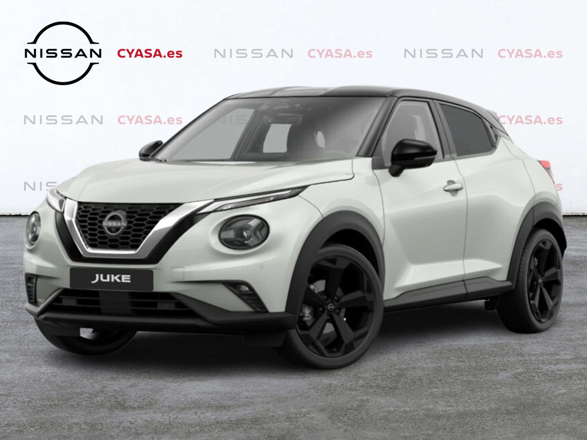 Imagen de NISSAN Juke