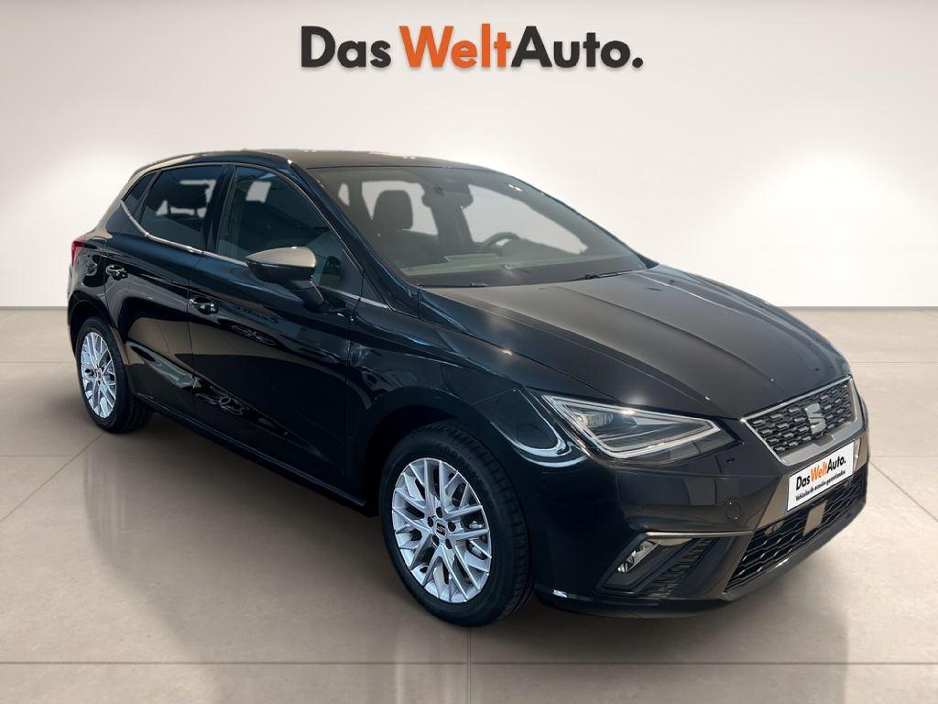 Imagen de SEAT Ibiza