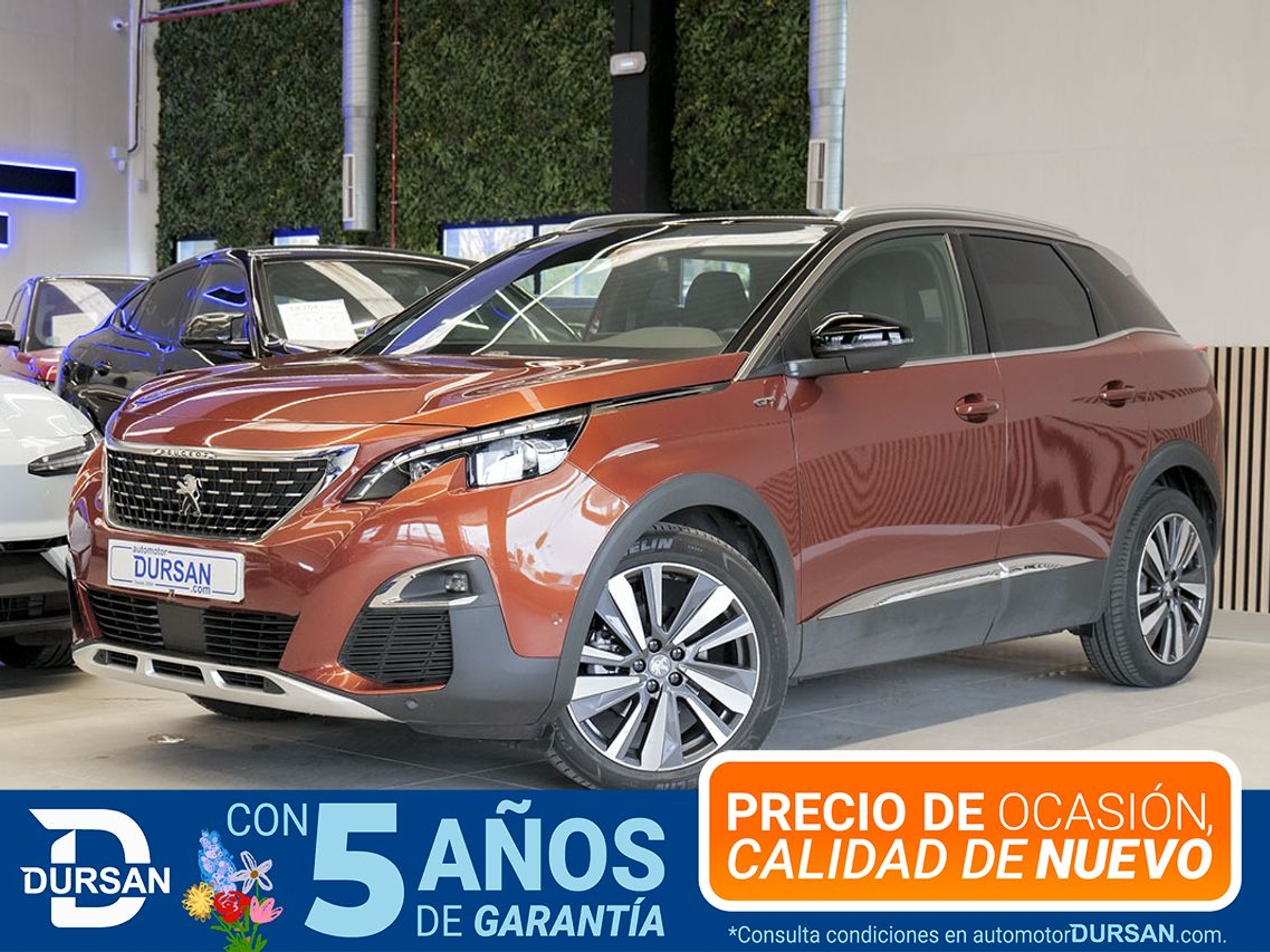 Imagen de PEUGEOT 3008
