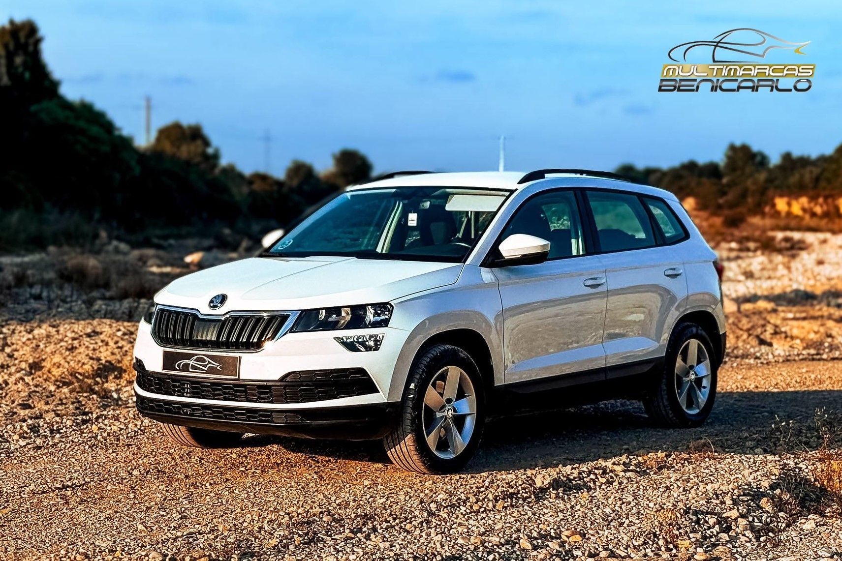 SKODA Karoq (2.0TDI AdBlue Ambition 4x4 DSG 110kW) en Castellón