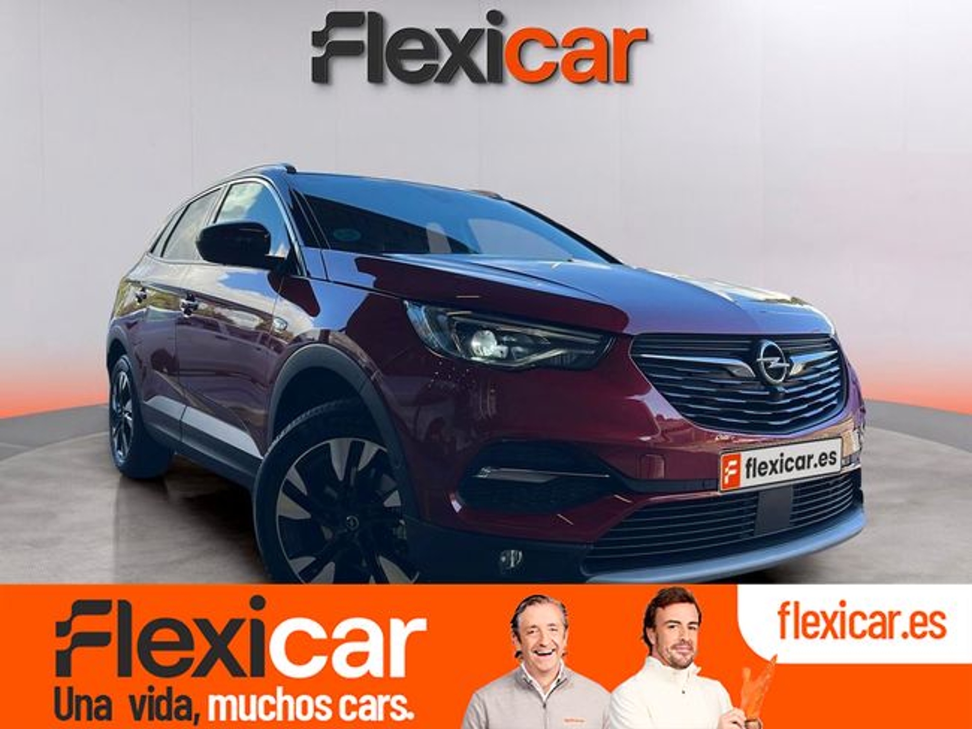 Imagen de OPEL Grandland X