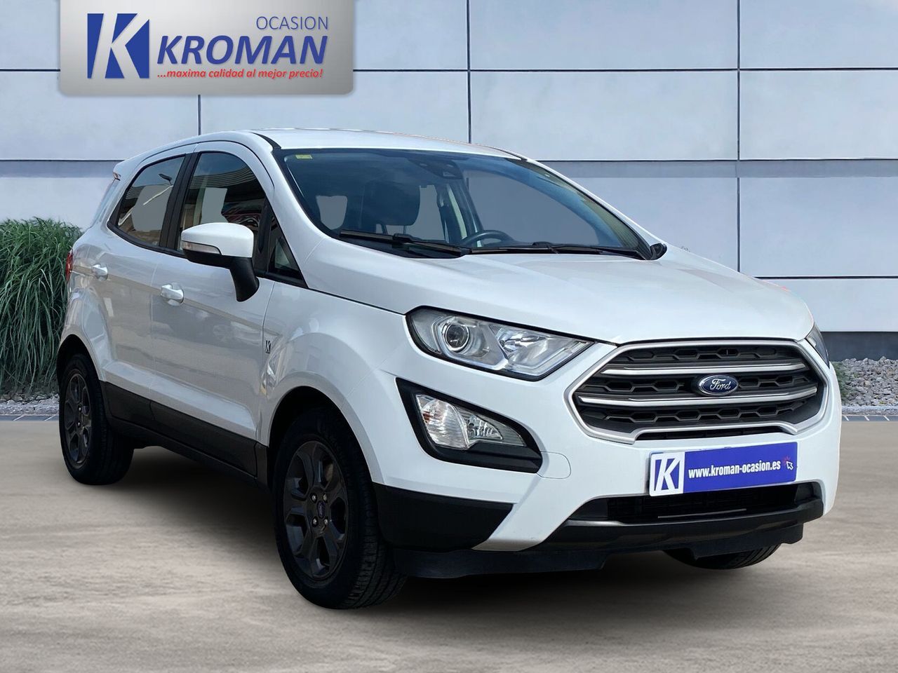 FORD EcoSport (1.0 Ecoboost Trend 100cv) en Castellón