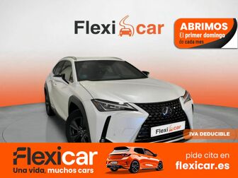 Imagen de LEXUS UX 250h Business 2WD