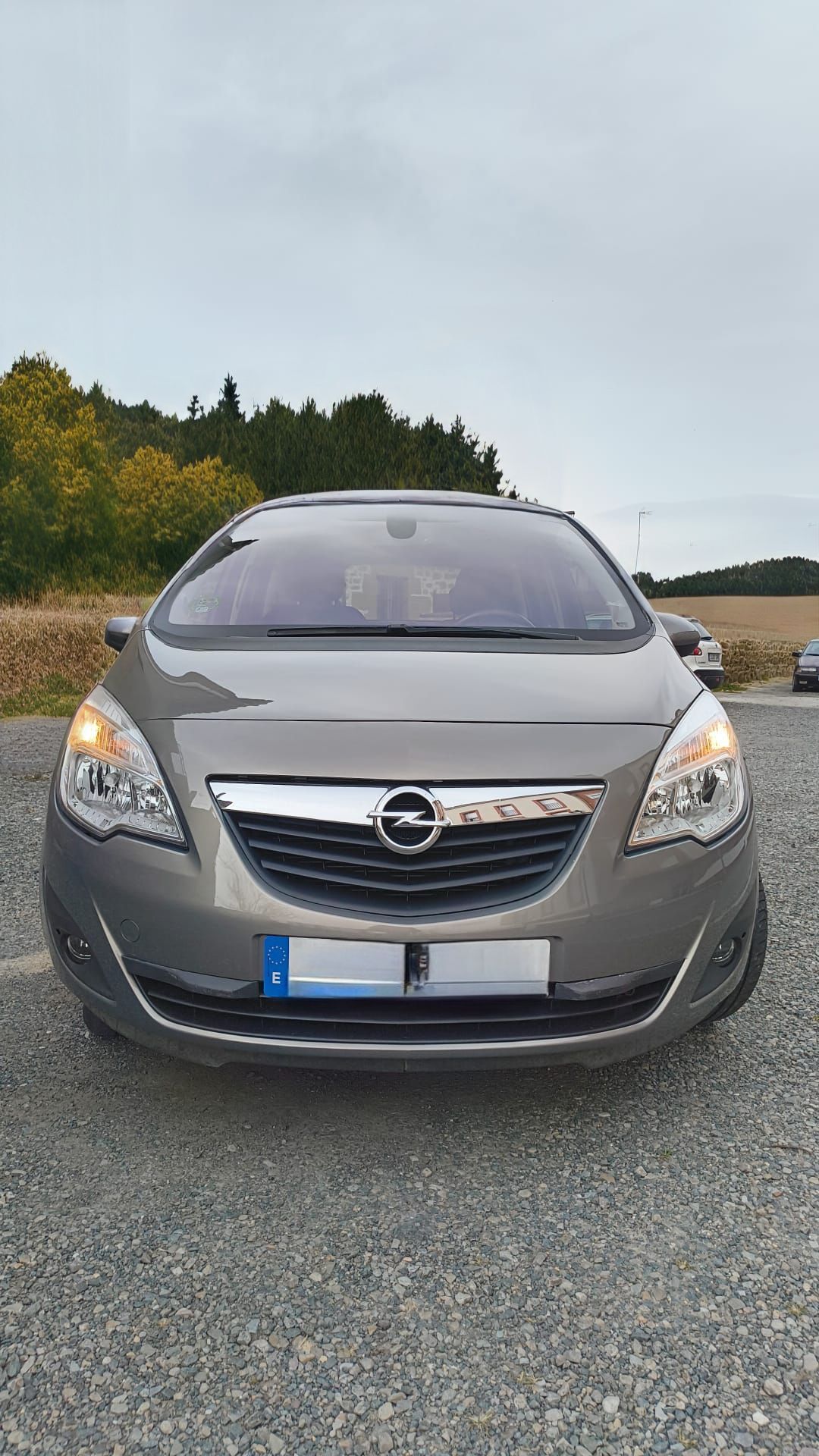 Foto del OPEL Meriva 1.4 NEL Selective 120