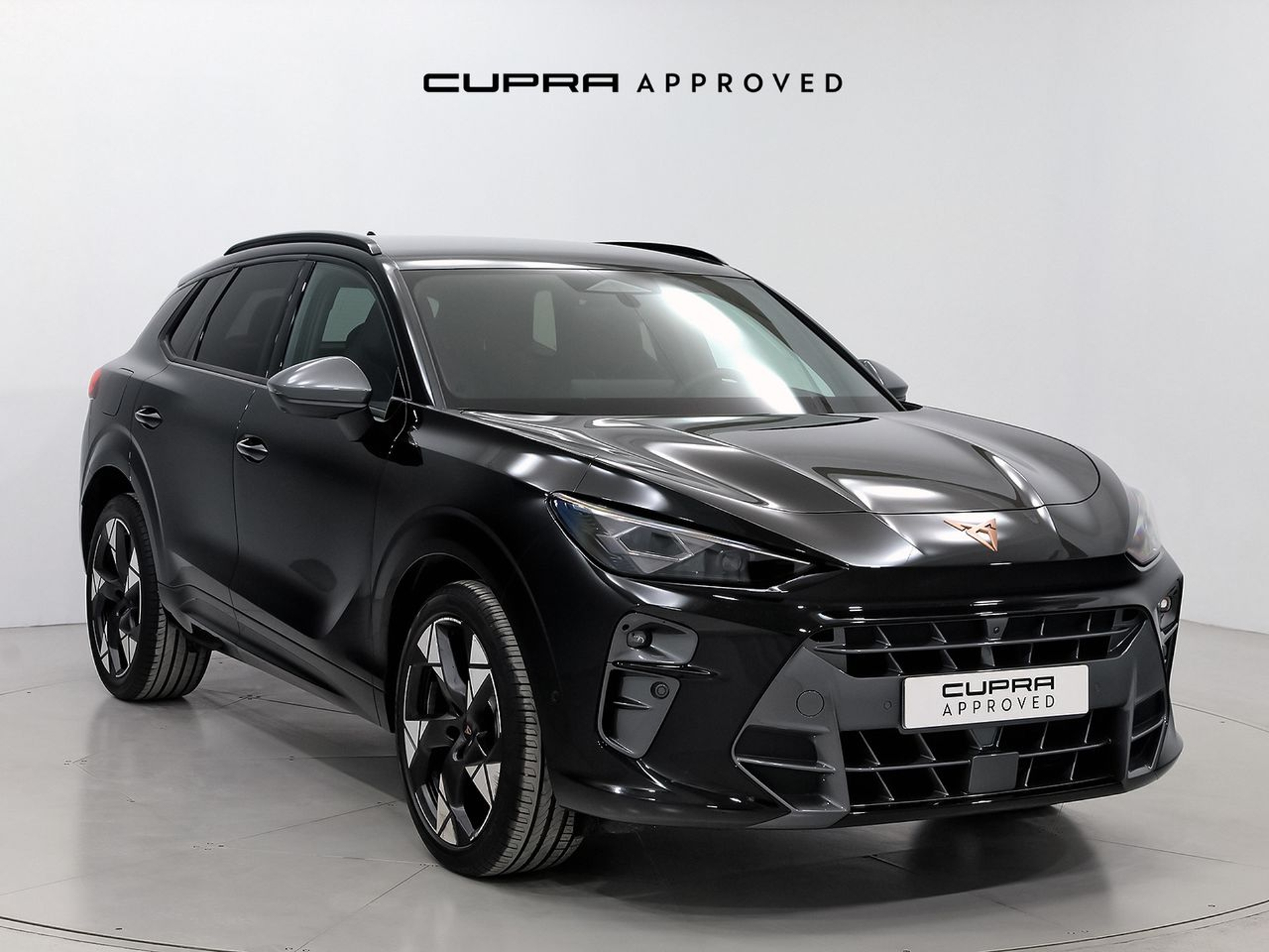 Imagen de CUPRA Terramar