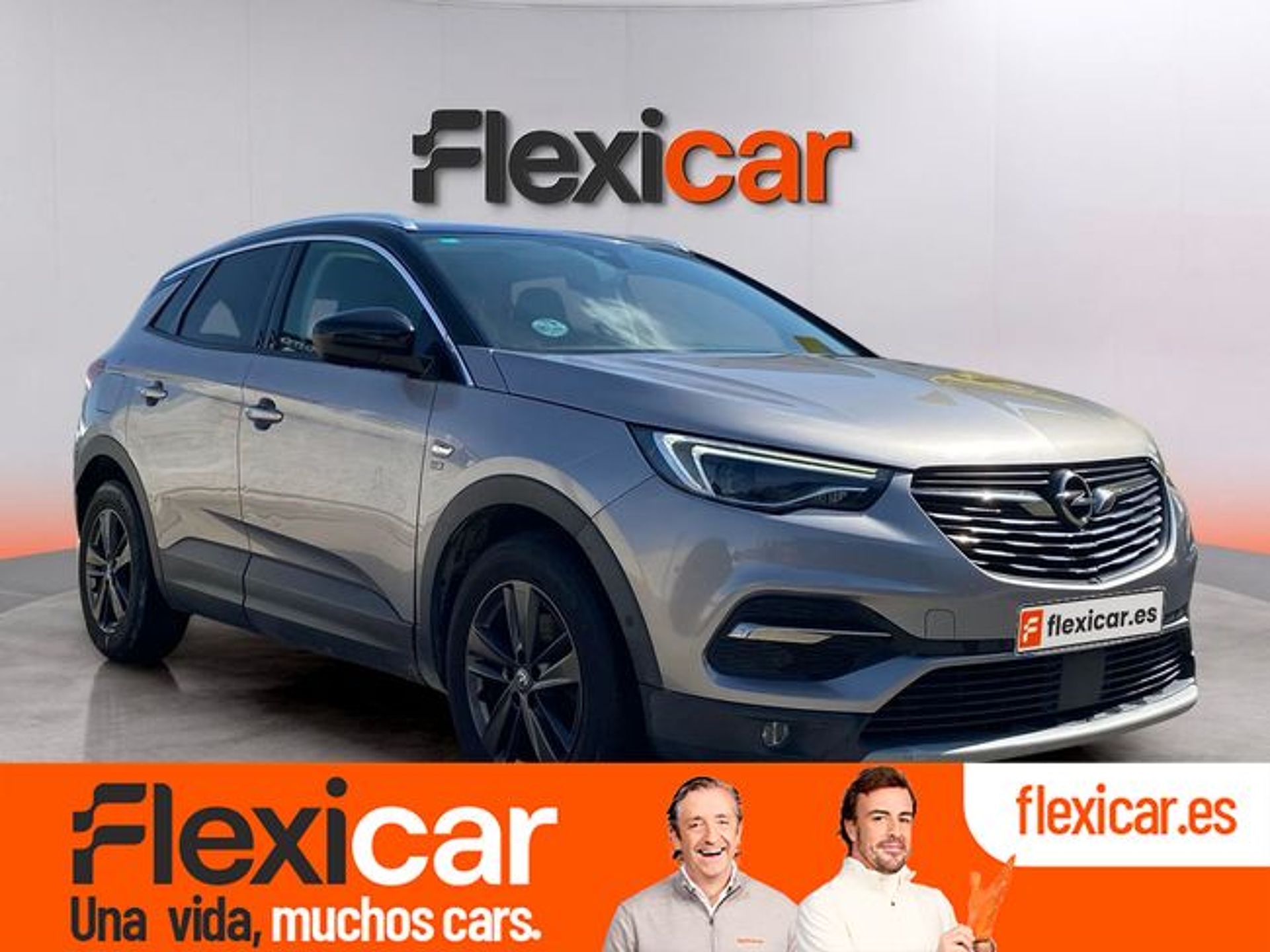 Imagen de OPEL Grandland X