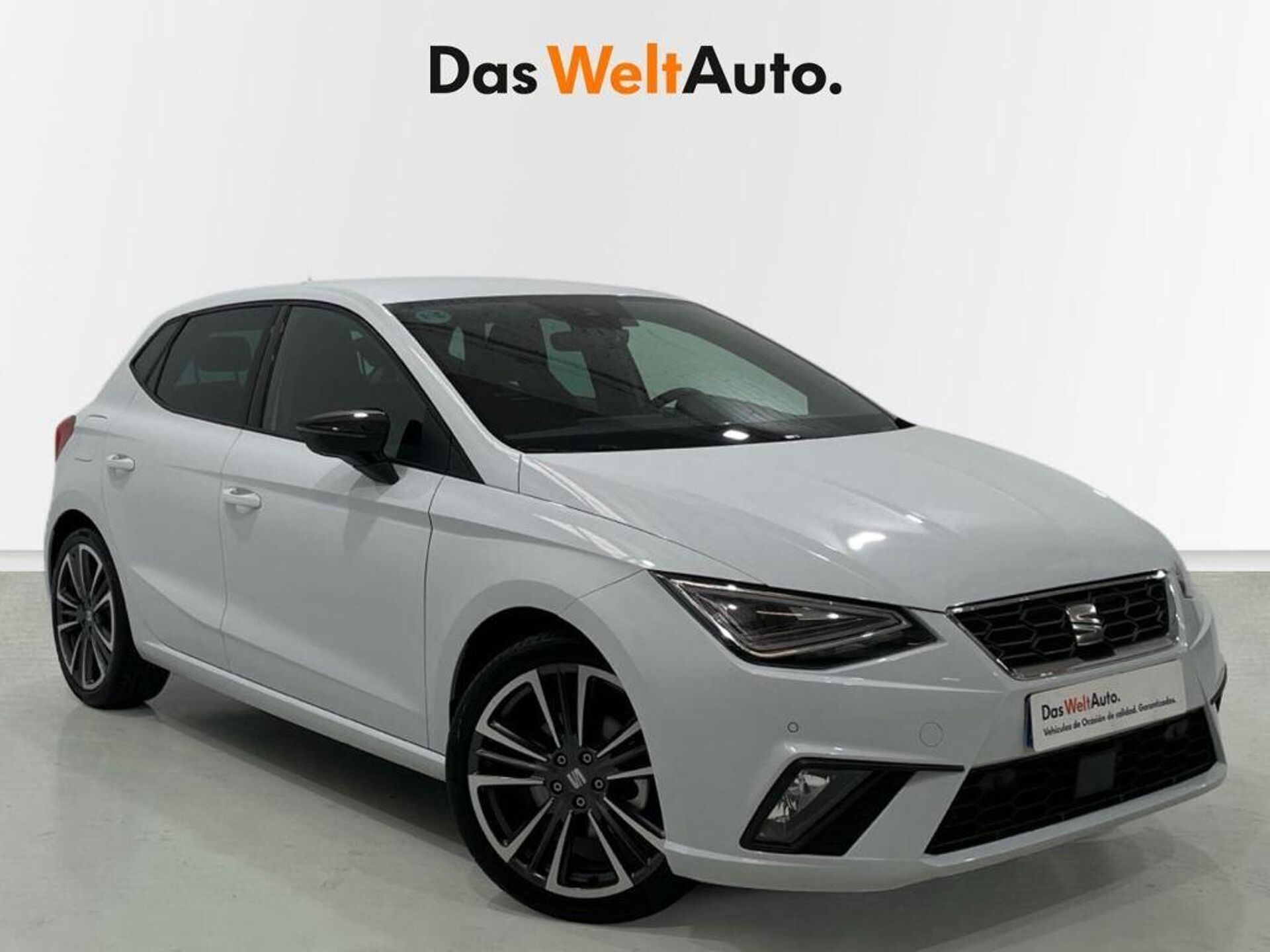 Imagen 1 de SEAT Ibiza