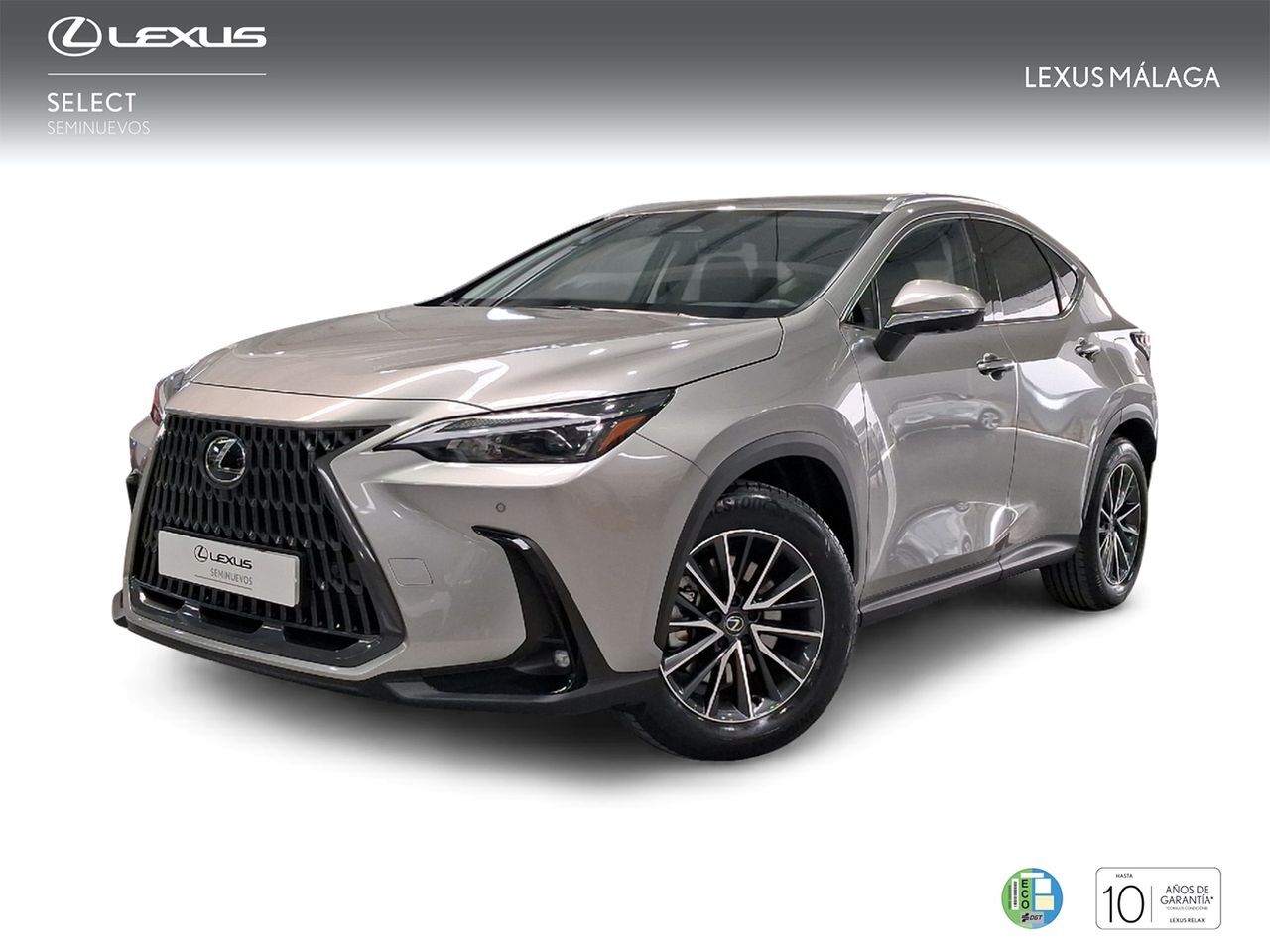LEXUS NX (450h+ Executive 4WD) en Málaga