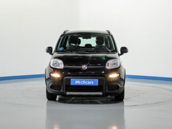 Imagen de FIAT Panda 1.0 Gse City Live Hybrid